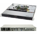  Supermicro SYS-1019R-MR